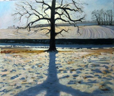 Albero e ombra, Calke Abbey, Derbyshire da Andrew Macara